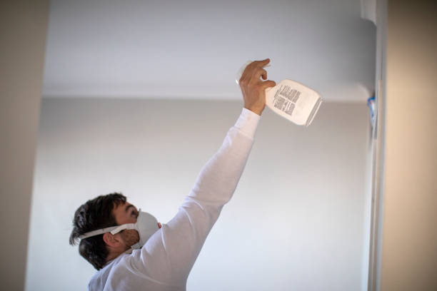 Crawl Space Mold Removal in Laguna Park, TX