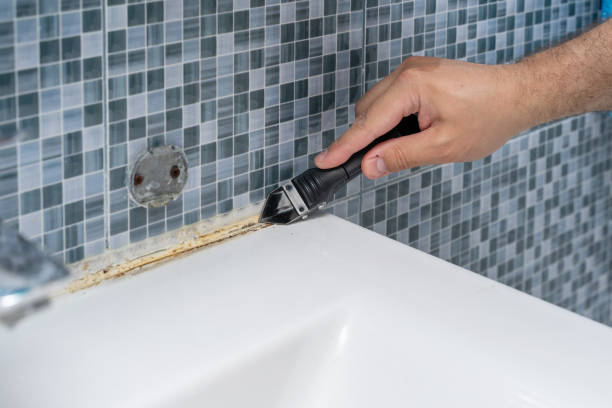 Best Commercial Mold Removal  in Laguna Park, TX